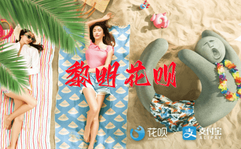 一丝不苟（做事细致认真，毫不马虎）花呗
